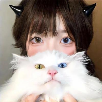 孟买玫瑰